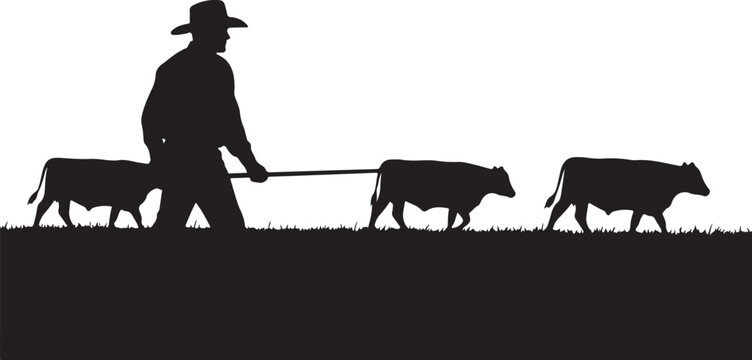 Black silhouette of man leading three cows on a rope grass