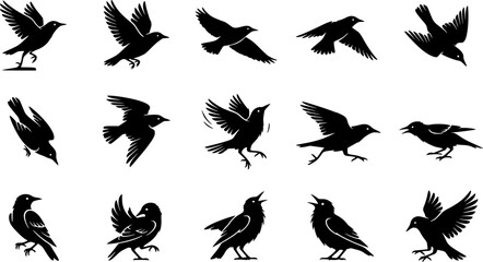 Obraz premium Starling bird silhouette icon set, flat black glyph style, pure white background