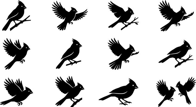Northern Cardinal Bird silhouette icon set, flat black glyph style, pure white background