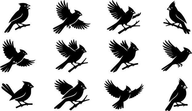 Northern Cardinal Bird silhouette icon set, flat black glyph style, pure white background