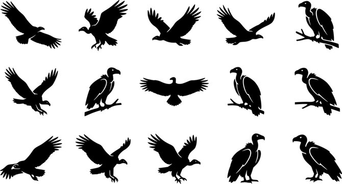Vulture silhouette icon set, flat black glyph style, pure white background