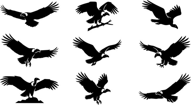 Vulture silhouette icon set, flat black glyph style, pure white background