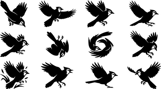 Blue jay birds silhouette icon set, flat black glyph style, pure white background