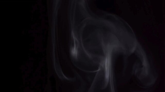 Wisps of Smoke Against Darkness: Delicate tendrils of white smoke curl and drift upwards, creating an ethereal and abstract pattern against a deep black background.