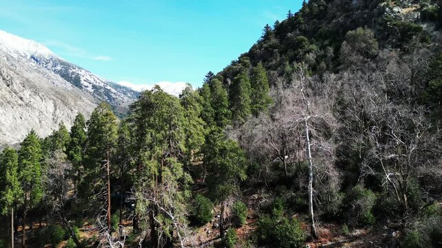 The Mill Creel Valley along the San Andras Fault looking ay a Yuhaaviatam Native American Indigenous Sacred waterfall on a Granite face near the Valley of the Falls on the Yucaipa Ridge,
