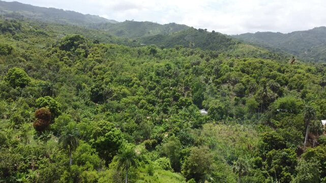 cordillera septentrional