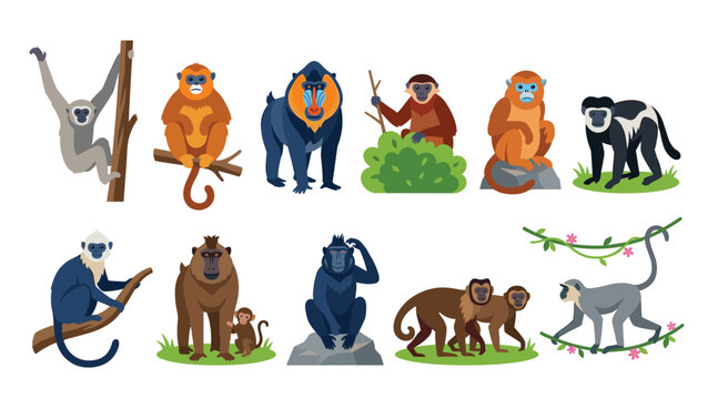 Monkeys exotic wild animals species vector illustration. Mandrill primate, gibbon branch, chimpanzee rock, baboon parent, macaque vine and langur bush jungle wildlife collection.