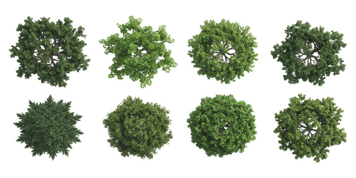 Set of eight green trees viewed from above for architectural landscape design and garden planning projects