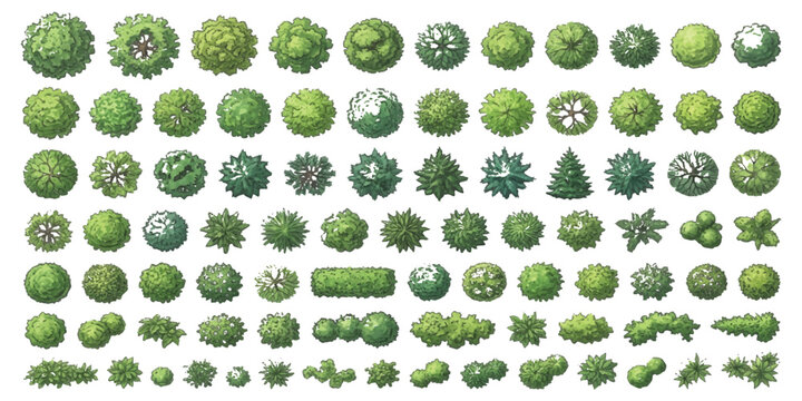 Set of top view tree and shrub icons for landscape design architectural plan and garden site mapping projects