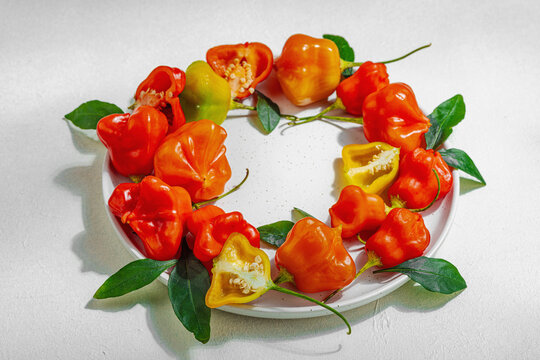 Culinary background of assorted fresh chili peppers on a ceramic plate. Vibrant ingredients