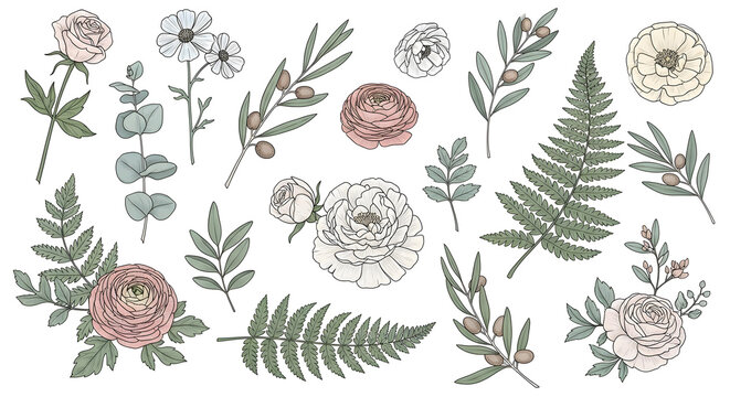 Botanical Collection: An artistic assemblage of delicate botanical illustrations, featuring a variety of flora including roses, anemones, eucalyptus leaves, ferns, and olives.
