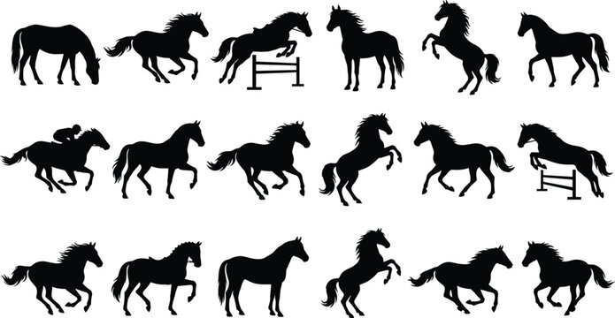 Horse Silhouette Vector Bundle With Running Jumping And Rearing Stallions