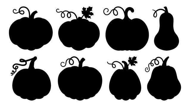 Set of pumpkin silhouettes. Black vector collection featuring various squash shapes, seasonal autumn vegetables for rustic kitchen, farm market and healthy food designs.