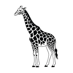 Giraffe Silhouette On White Background Black And White Animal Illustration © MDLIMON