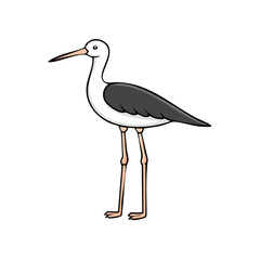 Fototapeta premium Cartoon illustration of a long-legged wading bird with a slender beak and black and white plumage standing gracefully