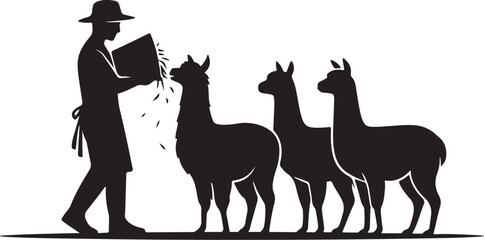 Obraz premium Man feeding llamas with hay animal silhouette black