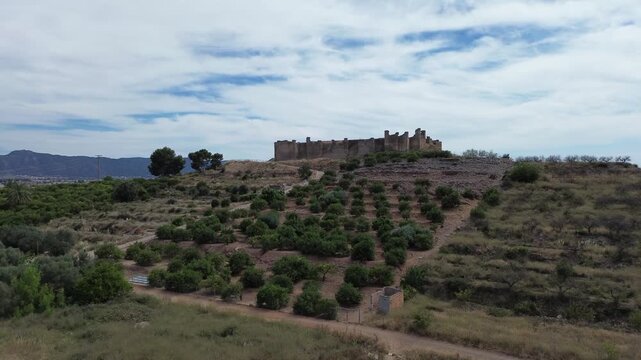Aerial view of Castillejo de Monteagudo in Murcia featuring historical ruins on a hill surrounded by traditional terraced agriculture and green trees representing rural Spanish heritage 