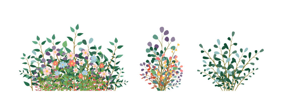 Set of bouquets, bushes on a white background. Flower arrangements for design, illustration of books, magazines. Vector EPS 10.