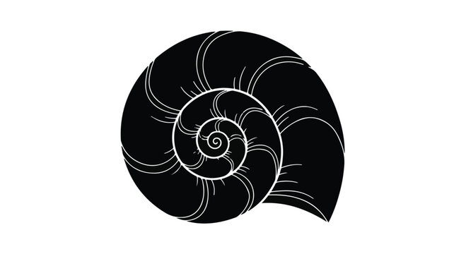 Nautilus shell silhouette features a spiral pattern isolated on a white background for design usage.