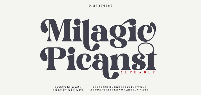 Elegant Font, aesthetic, Uppercase Lowercase and Number. wedding font, Classic Lettering Minimal Fashion Designs. Typography modern serif fonts regular decorative vintage concept. vector illustration