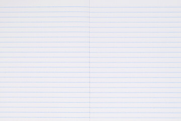 Fototapeta premium spread of blank notebook with blue lines