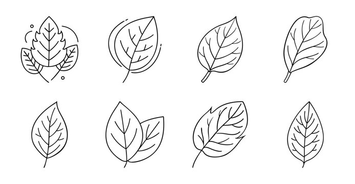 Simple leaf icons in minimalist style - Minimalist line art of various leaves in different shapes and sizes for clean, modern designs.