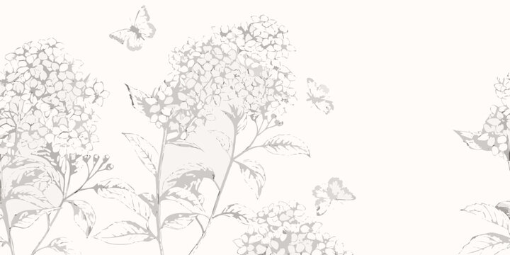 hydrangea clusters line art flowers botanical illustration