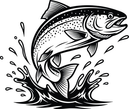 Leaping trout fish jumping out of water splashing