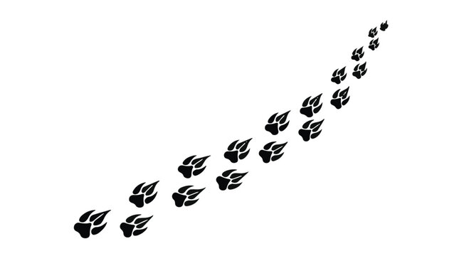 Paw prints form a diagonal trail across the frame representing an animal moving through space.