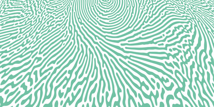 Abstract organic pattern background or diffusion reaction pattern. Vector green irregular organic lines on white background