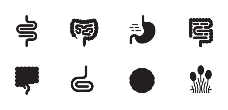 Digestive health and gut microbiome icon set with intestines, stomach, colon, bacteria and intestinal villi symbols