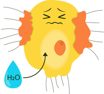 Lysed Animal Cell in Hypotonic Solution. Vector Isolated