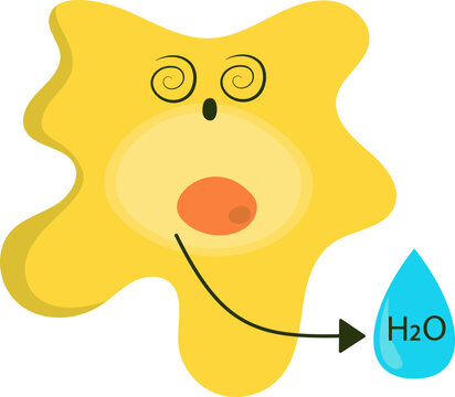 Shriveled Animal Cell in Hypertonic Solution. Vector Isolated