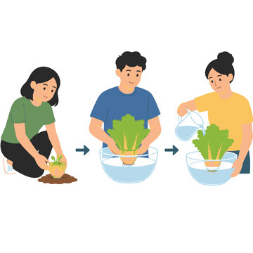 People demonstrating the step by step process of growing vegetables from kitchen scraps at home.