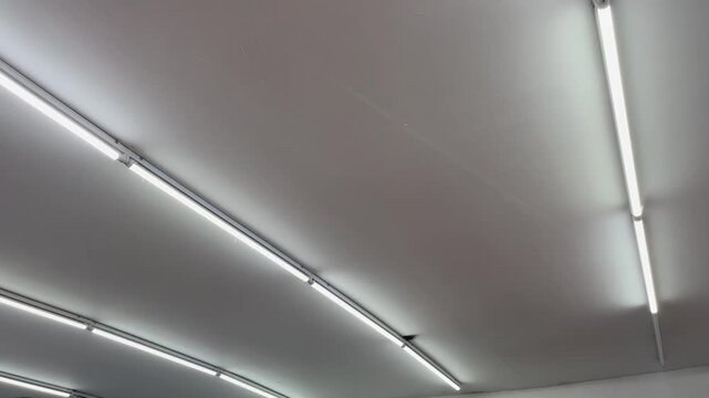 Parallel LED Tube Lights Glowing on Industrial Metal Ceiling Interior