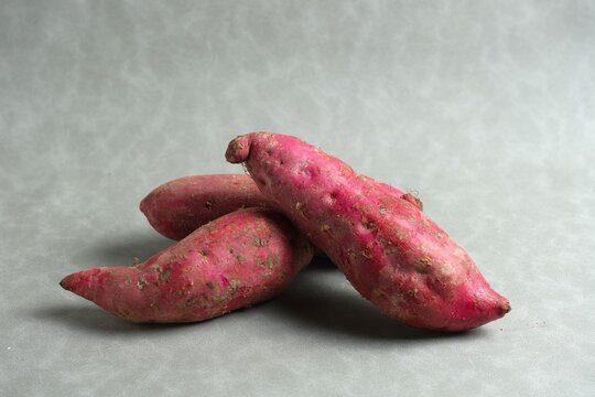 Raw sweet potato or Ipomoea batatas on gray background, Ubi jalar atau ketela rambat