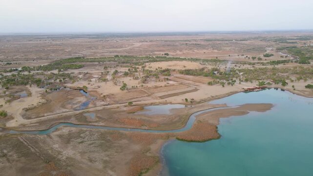 Aerial view of populus euphratica forest at Lop Lake, Tata's Secret Land, Yuli, Xinjiang, China