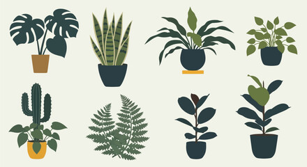 Collection of potted houseplants and ferns © MohammadMasud