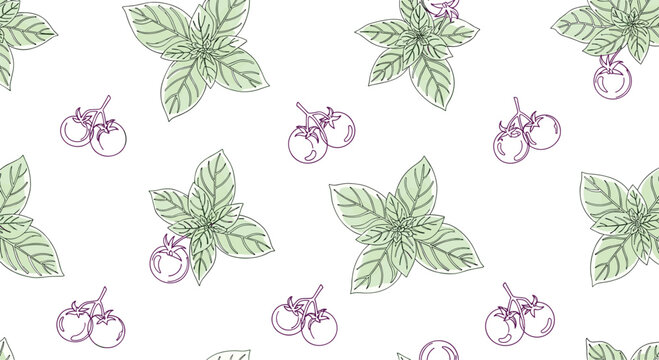 Fresh seamless pattern of green basil leaves and red cherry tomatoes in a hand drawn sketch style for kitchen decor on white.