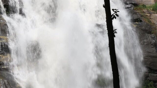 The natural video background of water flowing from high mountains, amidst various forests. The beauty of natural waterfalls is a habitat for various animals. It is worth preserving.