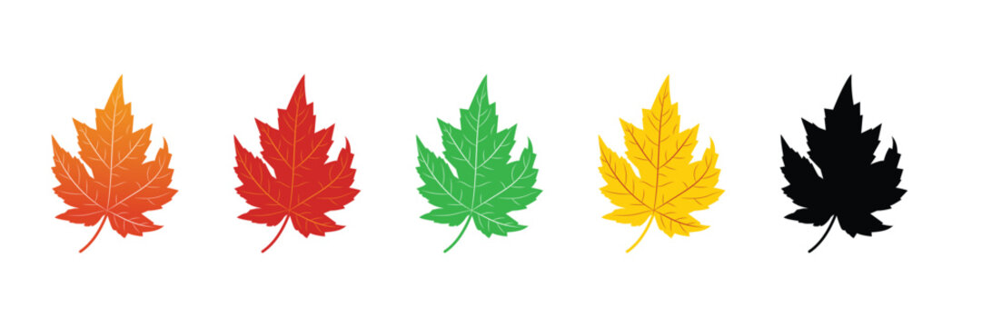 Maple Leaf Vector Set &ndash; Colorful Autumn Leaves Collection Illustration