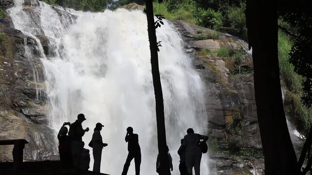 The natural video background of water flowing from high mountains, amidst various forests. The beauty of natural waterfalls is a habitat for various animals. It is worth preserving.