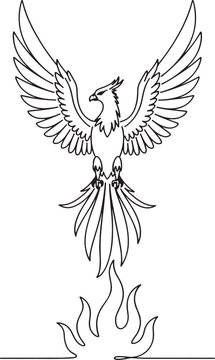 Majestic Phoenix Bird Rising Above Flames Black White Line Art