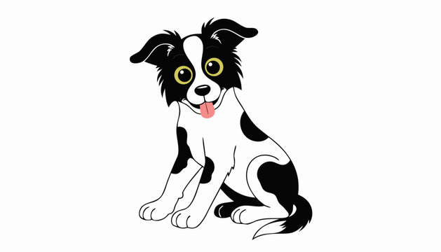 border collie dog