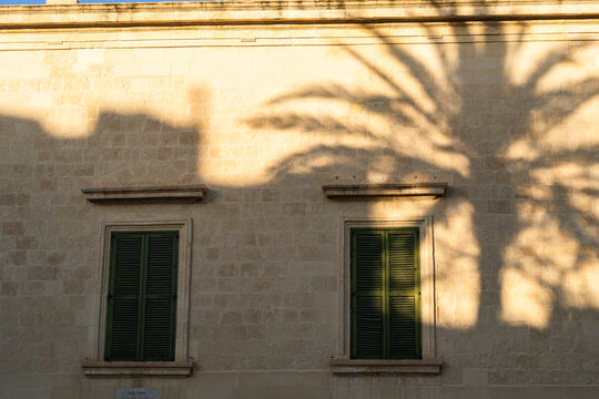 View of the shadow of a palm tree cast on a traditional limestone wall with green window shutters during golden hour in Valletta, Port Region, Malta.