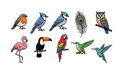 Naklejka premium Collection of diverse bird species and a peacock feather illustration
