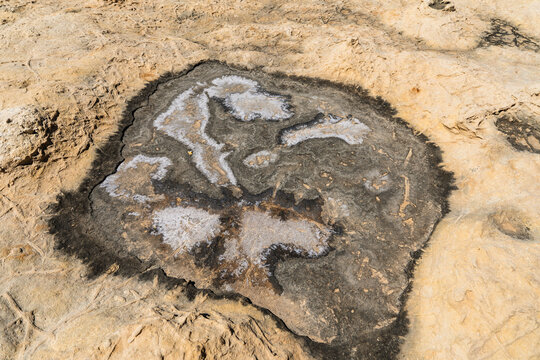 View of traditional salt pans with white salt crystals and dark mineral deposits at Dwejra Bay Zebbug, Gozo Region, Malta.