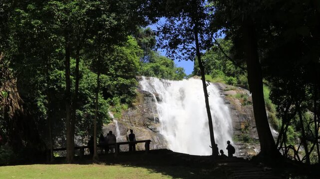 The natural video background of water flowing from high mountains, amidst various forests. The beauty of natural waterfalls is a habitat for various animals. It is worth preserving.