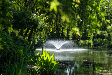Naklejka premium A small fountain in the green park's lake