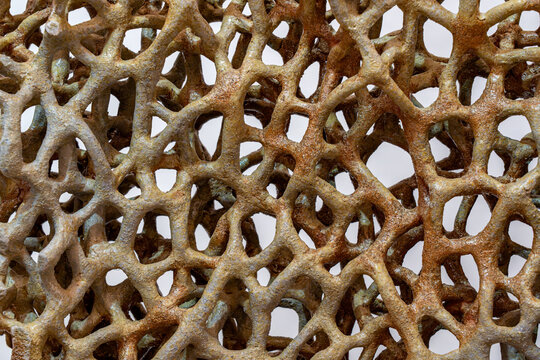 Abstract ceramic sculpture texture with porous organic lattice structure, geometric pattern, decorative art background, macro close up